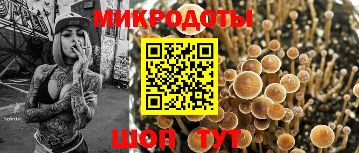 Кострома  Галлюциногенные грибы мицелий  Псилоцибиновые грибы GOLDEN TEACHER  Вход с VPN 